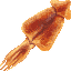 Dried Squid TC.png