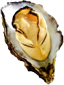 TL Food Raw oyster sprite.png