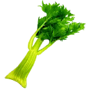 TL Food Celery sprite.png