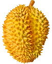 File:TL Food Durian sprite.png