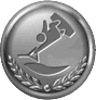 File:WSR Wakeboarding Medal.png