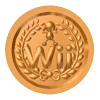WS Training Medal Bronze.png
