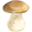 File:TL Food Mushroom sprite.png