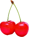 File:TL Food Cherries sprite.png