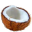TL Food Coconut sprite.png