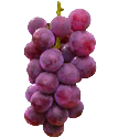 File:TL Food Grapes sprite.png