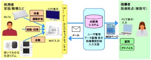 File:Wii+DS Health.jpg
