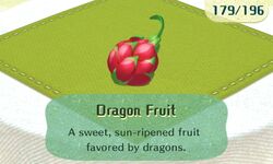 MT Grub Dragon Fruit.jpg