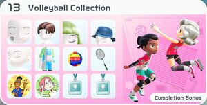 NSS Volleyball Collection Screenshot.jpg