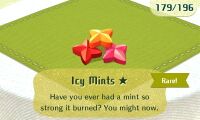 MT Grub Icy Mints Rare.jpg