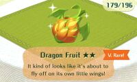 MT Grub Dragon Fruit Very Rare.jpg