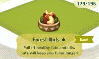 MT Grub Forest Nuts Rare.jpg