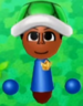 SMP Green Shell Hat Outfit.png