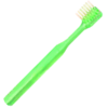 TL Treasure Toothbrush.png