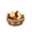 Forest Nuts Sprite (1).png