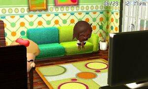 TL Mii homes Outgoing and outgoing.jpg