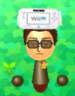 SMP Wii U Hat Outfit.png