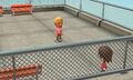 Meeting with another Mii on the roof.