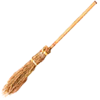 TL Treasure Broom.png